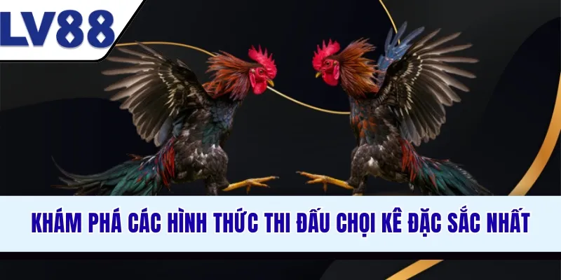 kham-pha-cac-hinh-thuc-thi-dau-choi-ke-dac-sac-nhat