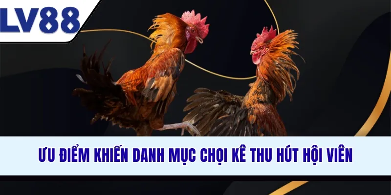 uu-diem-khien-danh-muc-choi-ke-thu-hut-hoi-vien